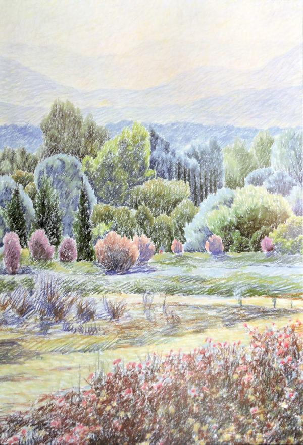 Forest meadow with red flowers art print poster by Carol Gladson, green and purple landscape in the background, framed, size 80cm x 113cm.