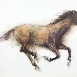 "Galloping Horse" by Mads Stage - A dynamic and powerful artwork capturing the essence of a horse in motion.