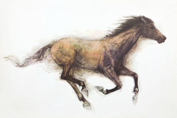 "Galloping Horse" by Mads Stage - A dynamic and powerful artwork capturing the essence of a horse in motion.