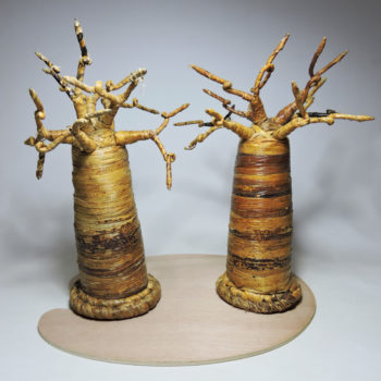 268 Baobab Tree RM180