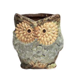 Succulent Pot - Owl in earthy brown and moss green ceramic with intricate owl design.